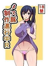 Cover image for the other called Shirobako dj - Mesu Buta Seisaku Shinkouchuu
