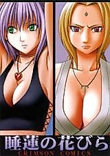 Cover image for the other called Various dj - Suiren no Hanabira