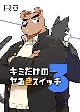 Cover image for the other called Kimi dake no Yaruki Switch