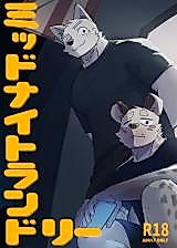 Cover image for the other called Midnight Laundry