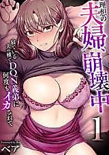Cover image for the manga called My Sister-In-Law's Squishy Insides Are Amazing, Aren't They?