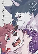 Cover image for the other called Temporary Wolf