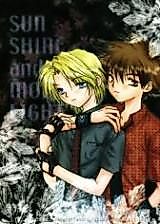 Cover image for the other called Digimon dj - Sunshine and Moonlight