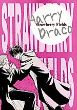 Cover image for the other called Harry Potter dj - Strawberry Fields