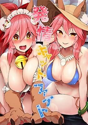Cover image for the other called Fate/Grand Order dj - Hatsujou Cat Fight