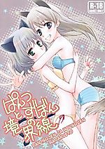 Cover image for the other called Strike Witches dj - Pantsu to Zubon no Kyoukaisen