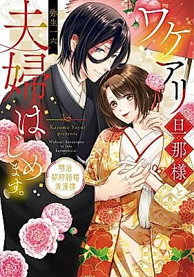 Cover image for the manga called Wakeari Danna-sama to Fuufu Hajimemasu. - Meiji Keiyaku Kekkon Roman Tan