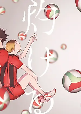 Cover image for the other called Haikyu! - Burning (Doujinshi)