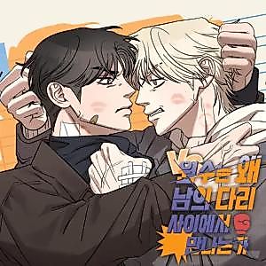Cover image for the manhwa called Why Do Enemies Meet Between Each Other's Legs?