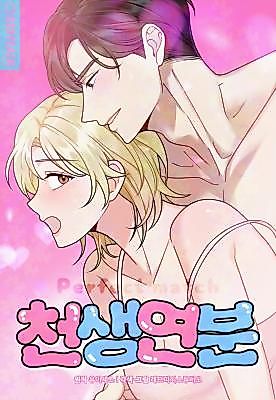 Cover image for the manhwa called Perfect Match (Red Peach Studio)