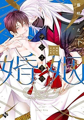 Cover image for the manga called THE SPIDER KING