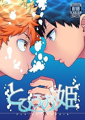 Cover image for the other called Haikyu!! dj - Tobiuo Hime