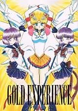 Cover image for the other called Sailor Moon dj - Gold Experience