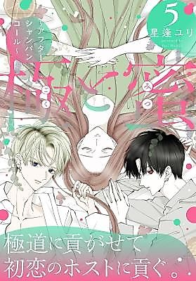 Cover image for the manga called Goku to Mitsu: After Champagne Call