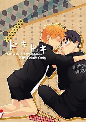 Cover image for the other called Haikyu!! dj - Dokidoki