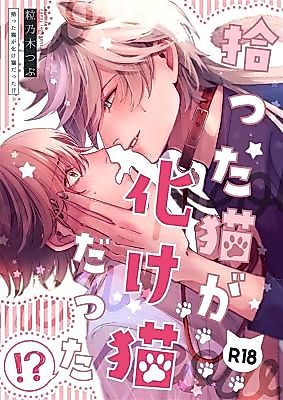 Cover image for the manga called The Cat I Took in Was a Shapeshifter?!