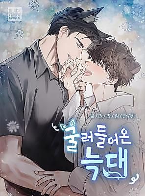 Cover image for the novel called The Wolf That Rolled In