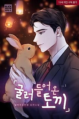 Cover image for the novel called The Rabbit That Rolled In