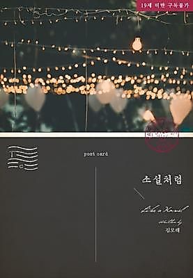 Cover image for the novel called Like a Novel