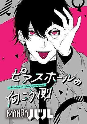 Cover image for the manga called The Other Side of the Piercing Hole