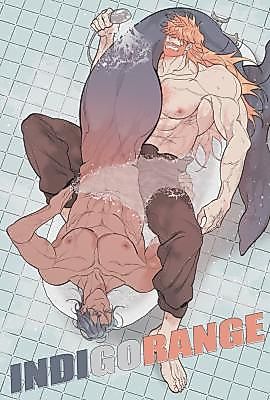 Cover image for the manhwa called INDI GO RANGE