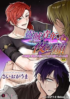 Cover image for the manga called Touzoku Seinen, Yoru no Kao