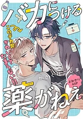 Cover image for the manga called Baka ni tsukeru kusuri ga nee