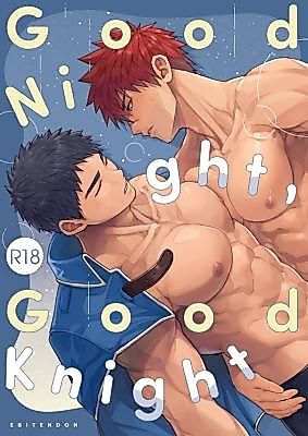Cover image for the manga called Good Night, Good Knight