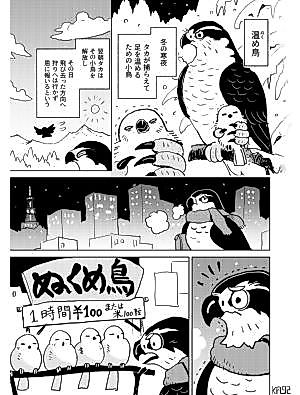 Cover image for the manga called Warmer Birds