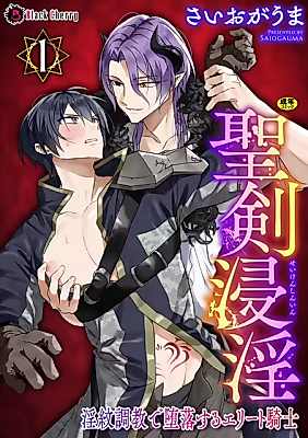 Cover image for the manga called Seiken Shinin