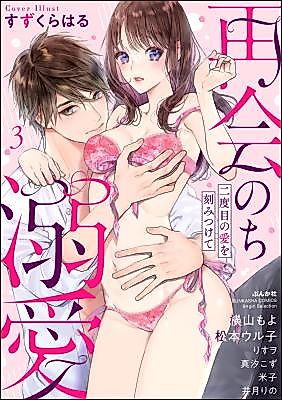 Cover image for the manga called Saikai no Chi Dekiai - Futatabime no Ai wo Kizamitsukete