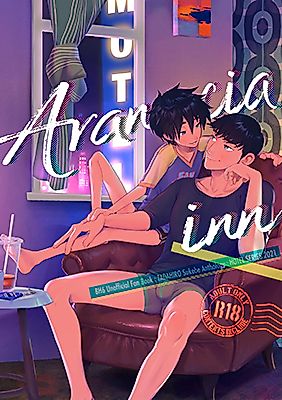 Cover image for the other called Baymax dj - Arancia Inn