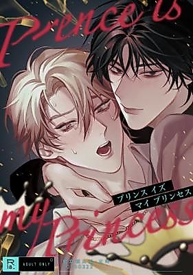 Cover image for the manga called Prince Is My Princess