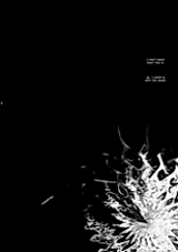 Cover image for the other called D.Gray-Man dj - Melancholic