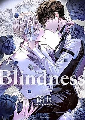 Cover image for the novel called Blindness