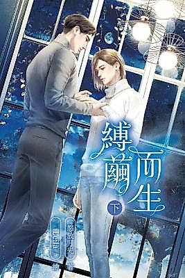 Cover image for the novel called Breaking Free From the Cocoon