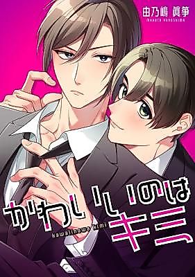 Cover image for the manga called Kawaii no wa Kimi