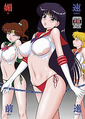 Cover image for the other called Sailor Moon dj - Flirtation Speed Forward