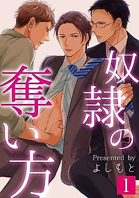 Cover image for the manga called Dorei no Ubaikata