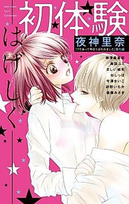 Cover image for the manga called Shotaiken -Hageshiku-