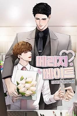 Cover image for the novel called Marriage Mate