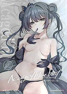 Cover image for the other called Blue Archive dj - Ori no Naka no Aoi Tori