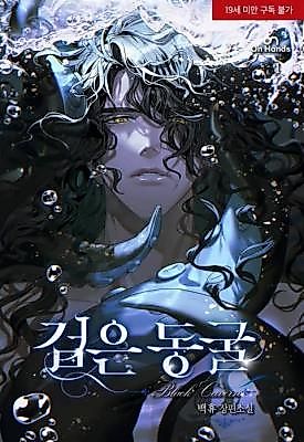 Cover image for the novel called Black Cave