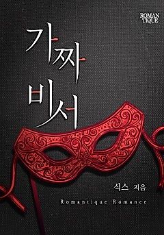 Cover image for the novel called The Fake Secretary
