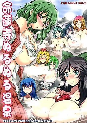 Cover image for the other called Touhou Project dj - Myourenji Nurunuru Onsen