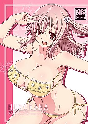 Cover image for the other called Dead or Alive dj - Honokana