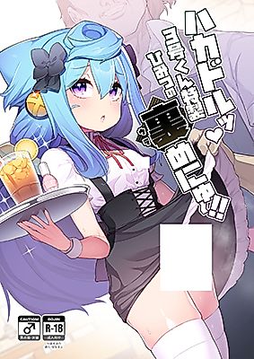 Cover image for the other called Hacka Doll dj - HakaDol 3-gou-kun Tokusei Himitsu no Ura Menu!!