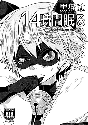 Cover image for the other called Miraculous Ladybug dj - Kuroneko wa 14 Jikai Nemuru