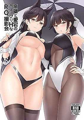 Cover image for the other called 高雄と愛宕のちょっぴりHなRQ撮影会