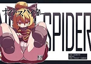 Cover image for the other called Touhou dj - Nightspider
